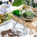 Ogrody w szkle jak zrobić we własnym domu?