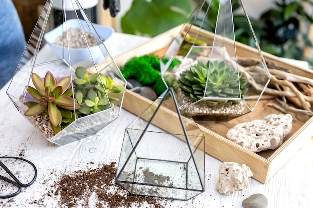 Ogrody w szkle jak zrobić we własnym domu?