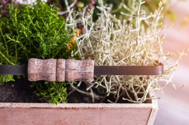 Z czego zrobić obrzeże ogrodowe, żeby pasowało do Twojej przestrzeni?